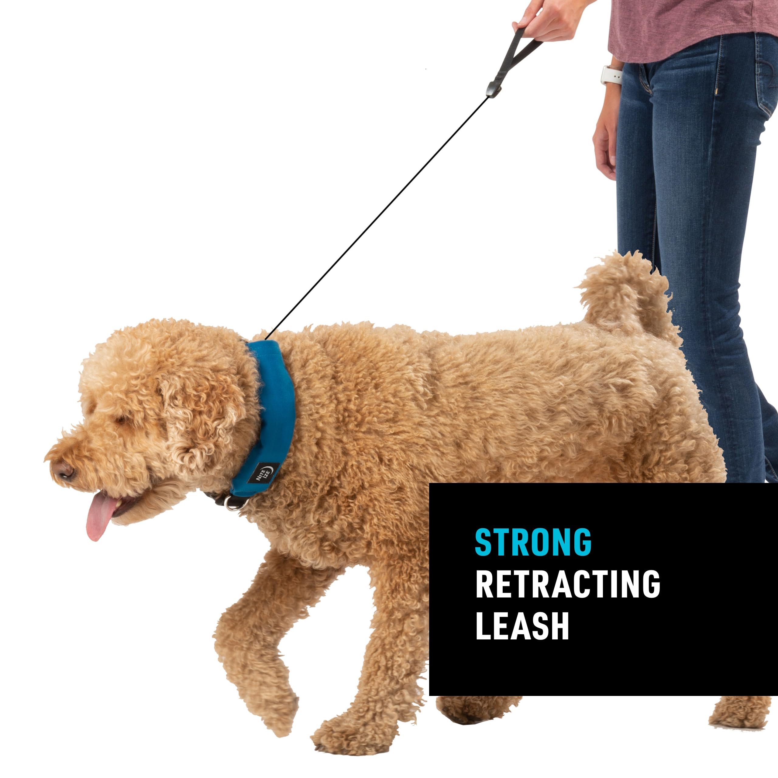 Nite Ize Raddog All-in-One Collar and Leash Combo - Heavy-Duty Dog